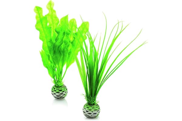 biOrb Jeu de plantes S en vert