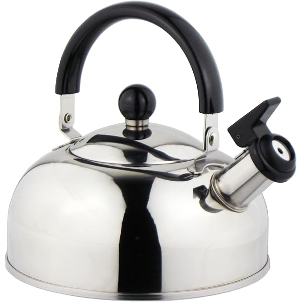 Buy WMF 2-Piece Opera Kettle Set Online at Low Prices in India