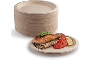 YIEN 100 piatti di carta super rigidi, 100% biodegradabili e compostabili, ecologici, resistenti, riciclabili, perfetti per picnic e barbecue (22,86 cm)