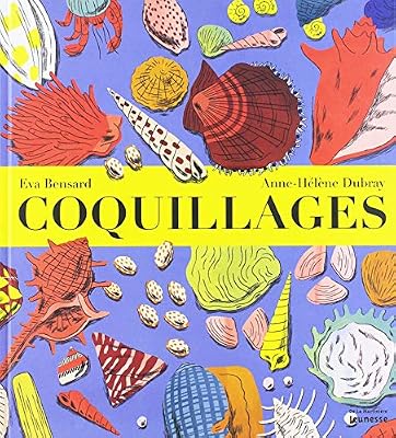 De la Martinière jeunesse Coquillages