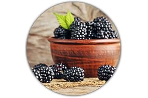 Samenquelle.de - der Samen Versand Moras Gigantes, Aprox.50 Semillas, Alto Contenido en vitaminas, Bajas en calorías