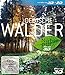 Produktbild Deutsche Wälder 3D - Natur pur [3D Blu-ray]