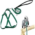 ASOCEA Bird Harness and Leash Parrot Adjustable Feather Tether Flying Nylon Walking Rope Outdoor Anti-bite Training Carrier for Small Parrot Budgerigar Lovebird Cockatiel (Chest Girth 10.24-15.75in)