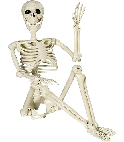 Halloween Skelet 90cm. beweegbaar - SEP Feestartikelen