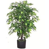 Kunstplant