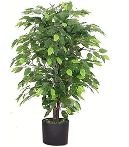 Árbol De Ficus Artificial 150cm - | Flores Y Plantas Artificiales