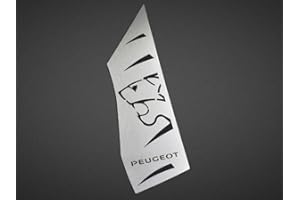 autoCOVR Repose Pieds en Acier pour Peugeot.3008 II et 5008 II - 1 Pièce Inox Sport Pédalier Pédales Argent Marchepied Inoxydable Brossé 3008 accessoires