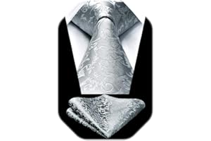 HISDERN Paisley Floral Corbatas de Hombre Modernas Corbata y Pañuelo de Bolsillo a Juego Clasica para Boda Fiesta Business