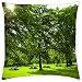 Produktbild Awakening Spring - Throw Pillow Cover Case (18