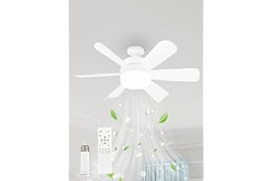 AOLED Deckenventilator Mit Beleuchtung 6 Flügeln Dimmbar Ventilator mit Leise,3Farbtemperatur und 6Geschwindigkeiten 45cm Weiß Timing Deckenleuchte Fan Mit Fernbedienung für Schlafzimmer Dachboden Esszimmer