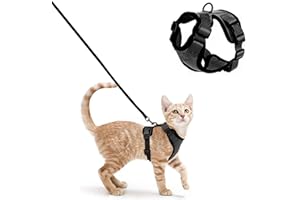 INNOVESS Cat Harness and Lead Set, Escape Proof kitten harness with Leash, Adjustable Cat Harness and Lead for Small Cats & Pets Walking in Garden or Outdoors – XS, Black