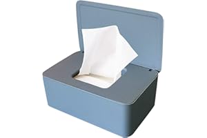SHENGRUILI Boîte de Mouchoirs Humides,Boite Lingette avec Couvercle,Distributeur de Lingettes Humides,Boîte de Mouchoirs Humides avec Couvercle,pour Bureau,La Chambre à Coucher,La Cuisine