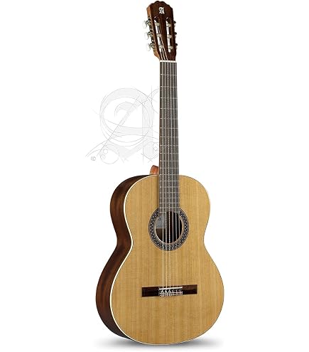 Ibanez AEQ2T - Guitarra electro clásica para conciertos : Amazon