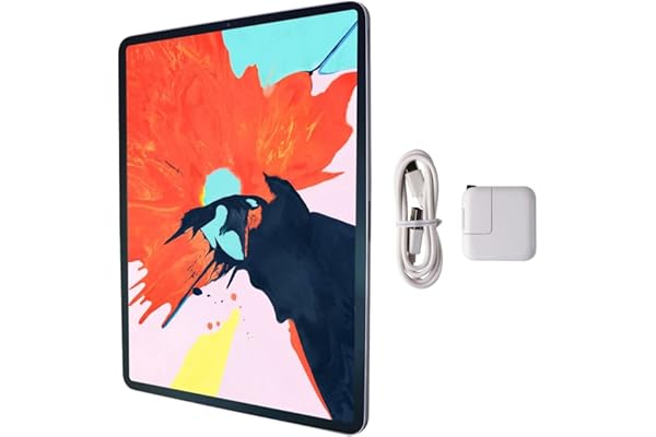 2018 Apple iPad Pro (12.9-pulgadas, Wi-Fi, 256GB) - Gris Espacial (Reacondicionado)