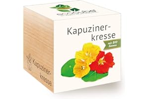 Feel Green Ecocube Kapuzinerkresse, Bio Zertifiziert, Nachhaltige Geschenkidee (100% Eco Friendly), Grow Your Own/Anzuchtset, Pflanzen Im Holzwürfel, Made in Austria