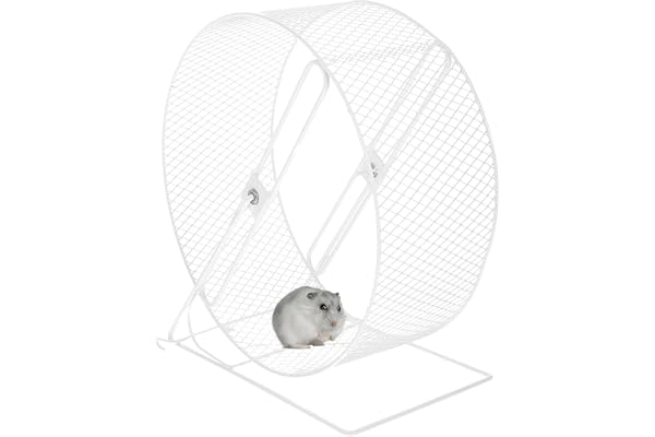 Roue silencieuse en métal pour hamster, roue d'exercice silencieuse pour hamster gerbille, souris naine syrienne
