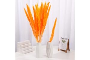 GEFIRE 30 Stück 44cm Trockenblumen, Pampasgras getrocknet, Trockenpflanzen, Schilfgras, Pampasgras, Stäbchen Pampasgras, Pampasgras Federn für Florale Wohnkultur, Orange Boho Deko
