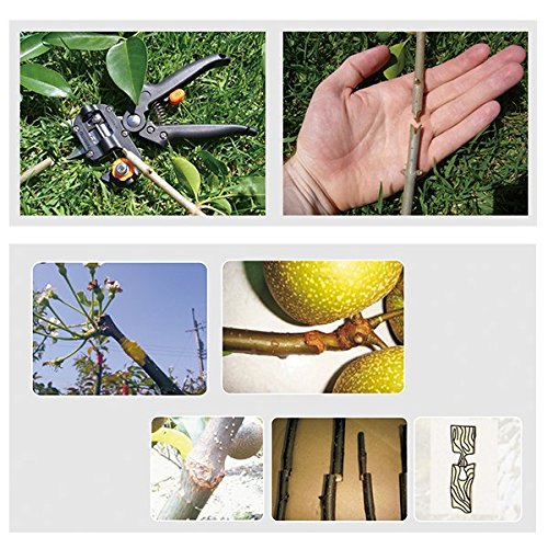Veredelungsschere Gartenschere-AGPtek Professionelle Cutting Tool Astschere Rebschere Baumschere Blumenschere Holzschere hochbeanspruchbares Handwerkzeug für Ihre Gartenarbeit – Pfropfen Pruner mit 2 Ersatzmesser Pfropfen Band - 7