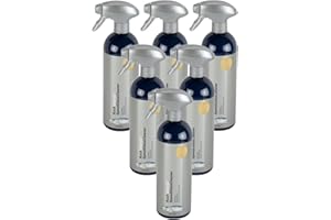 Koch Chemie Speed Glass Cleaner - Limpiador de cristales (6 unidades, 750 ml)
