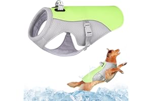 Dolahovy Gilet de Refroidissement pour Chien,Veste de Refroidissement pour Chien en Maille Respirante Réglable Manteau d'été pour Chien Manteau de Glace de Sécurité (M, Vert)