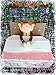 SPARKLE magic naughty shelf elf soft plush toy teddy christmas santa believe gift