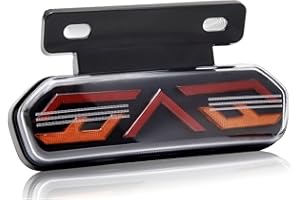 NWpangu 12V Motorcycle Tail Light Multi-Function Rear LED Stop Brake Turn Light for Motorcycle Chopper Electronic Bike