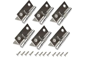 LYXTIORN 6Pcs 2pollici cerniere per porte a molla, cerniera per finestre in acciaio inossidabile 304 per porte esterne interne