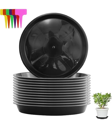 12 Sottovasi Rotondi In Plastica 30 Cm Colore Caffè | Vassoi Antigoccia Per Piante Interni/esterni | Altezza Bordo Antiperdite - 3