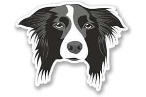 DESTINATIONVINYL Lot de 2 autocollants en vinyle pour iPad et ordinateur portable Motif Border Collie #5444 (10 cm de large x 8 cm de haut)