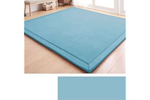 DSSHENGDS Tappeto in Velluto Corallo Morbido,Moderno, Lavabile, Perfetto per Yoga,Esercizio Fisico e Gattonare,Tappeto Salotto,Scendiletto per Bambini Tatami 2cm-H- 150 * 250cm