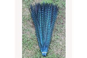BULZEU Lot de 10pcs Naturelles Plumes de Faisan pour Artisanat et Décoration de Chapeau Spectacle Loisir Art - Bleu Clair
