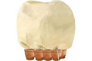 Hydrogarden Housse hivernage pour Plantes, Housse d'hivernage Non tissée 80 g/m² Protection Contre Le Gel des Plantes en Pots et rosiers (240x200cm)