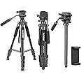ZOMEI Q310 Lightweight Tripod Monopod Portable Travel Camera Stand with 3-Way Pan Head and Carry Bag, Compatible with Canon Nikon Sony and DSLR