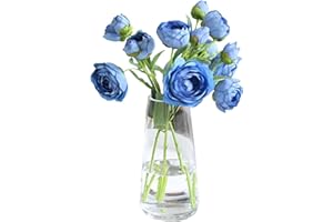 DRERIO Vaso Trasparente, Vasi Vetro per decorare la stanza, 22cm Fiore Vaso, Moderno Vaso per Fiori,Decorazione Tavolo Soggiorno per Arrangementi Floreali E Decorazione Domestica