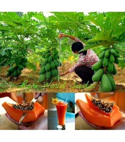 Bola de grossesse avec pierres semi-précieuses (différents coloris