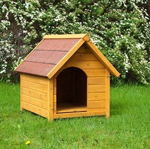 Dog-Kennel-Sturdy-Attractive-Outdoor-Dog-Kennel