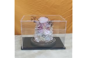 CEET Caja de exhibición Transparente de acrílico, Vitrina Multifuncional de exhibición de Colecciones a Prueba de Polvo, con Base Engrosada, para muñecas de Acción de Juguetes (11x6.3x8inch/28X16X20cm)