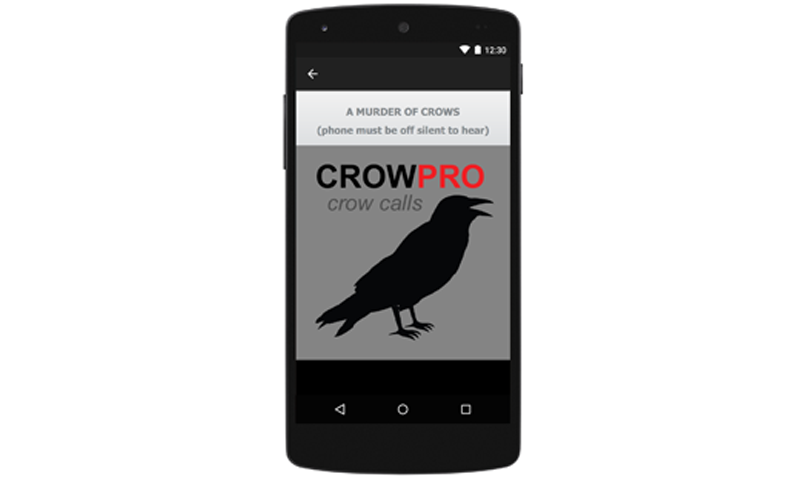 Crow Calls & Crow Sounds App for Crow Hunting - BLUETOOTH COMPATIBLE