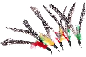 Cunluna 5PCS Handmade Natural Feather Cat Toy Da Bird Refills Interactive