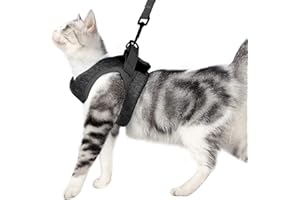 DOTONER Harnais et Laisse pour Chat Ultra-léger Col Chaton Doux et Confortable Veste de Marche pour Chat Course à Pied, Antifuite Convient pour Chiots Lapins(Gri,L)
