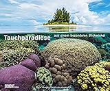 Tauchparadiese Aus einem besonderen Blickwinkel 2016 by 