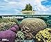 Tauchparadiese Aus einem besonderen Blickwinkel 2016 by 