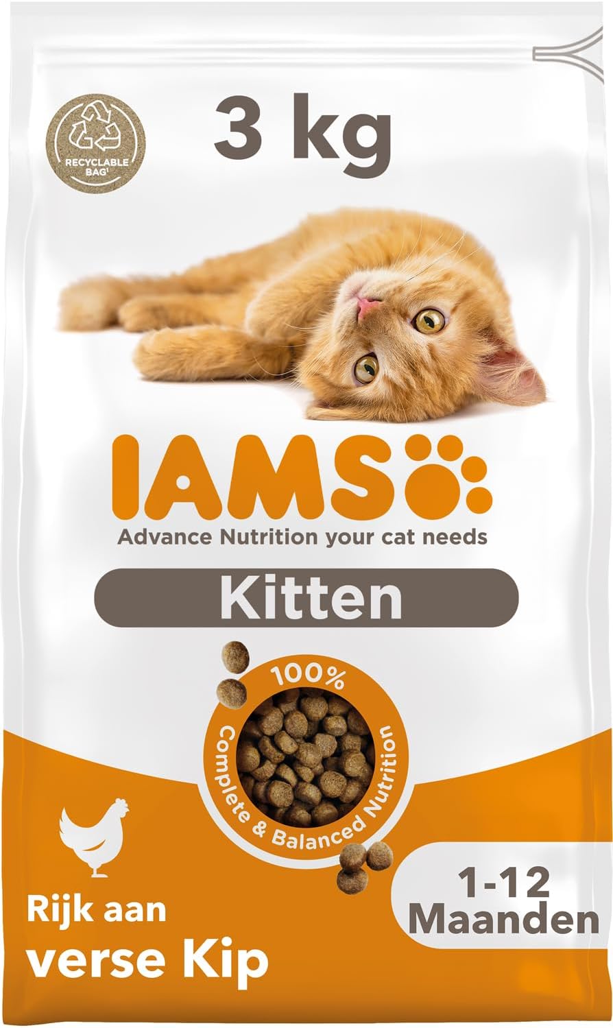 Retour d'Expérience & Bilan Utilisateur : IAMS Junior kattendroogvoer met kip - droogvo