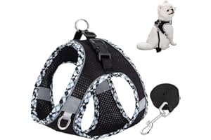 VYLRO Pet Leash Chaleco y Arnés para Perro (Negro, XXS), Arneses Perros Pequeños, Arnés para Perros Pequeños con Correa, Small Dog Harness Patterned, Peitoral para Cão, para Caminar, Correr, Entrenar