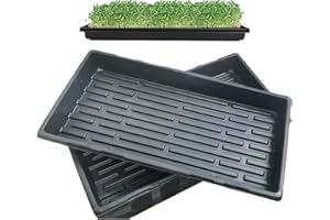 LANPEW LANBAI Zestaw 10 tacek do uprawy roślin bez otworów drenażowych 54 x 28 x 6 cm, idealne do sadzonek, ogrodnictwa wewnętrznego, uprawy mikrozieleni, ziół pszenicznych i innych gleb lub do hydroponiki