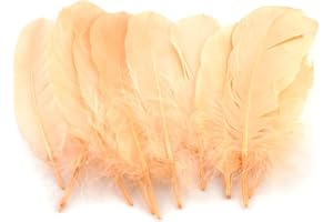 CREATIVERY Plumas de ganso (10 unidades, 15-20 cm), color albaricoque 714