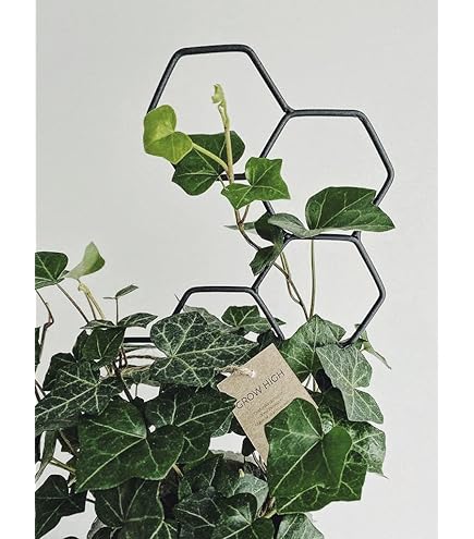 LEAFLO