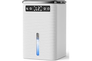 AETHERIUM Deumidificatore Casa Muffa, 2500ML, 30dB Ultra Silenzioso, Deumidificatore Portatile per Casa, Ufficio, Bagno, Armadio, Spegnimento Automatico, Timer 2-12 Ore, Dehumidifier con Luce LED, 700ml/24H