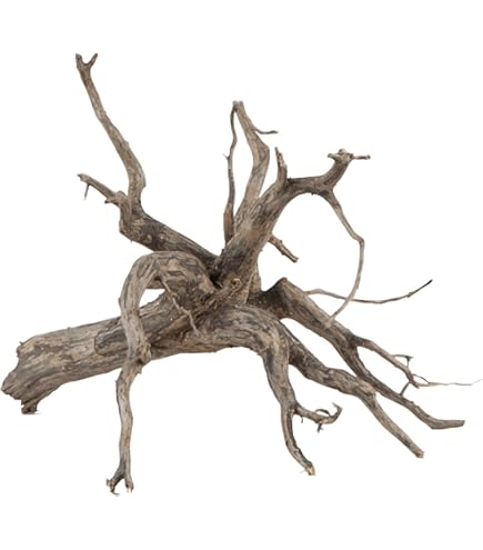 Legno Honeycomb Amtra Per Acquari - Decorazione Naturale Per Aquascaping, Taglia M 30-50cm - Foto 3