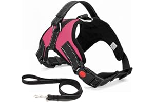 Musonic No Pull Dog Harness Breathable Adjustable Comfort Free Lead Included for Small Medium Large Dog Best for Training Walking S Pink